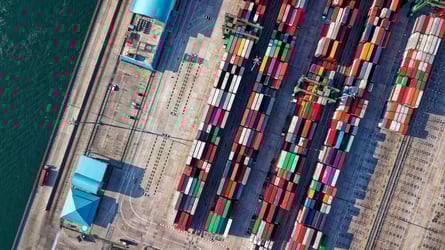 Global Supply Chain Disruption in Covid's Wake