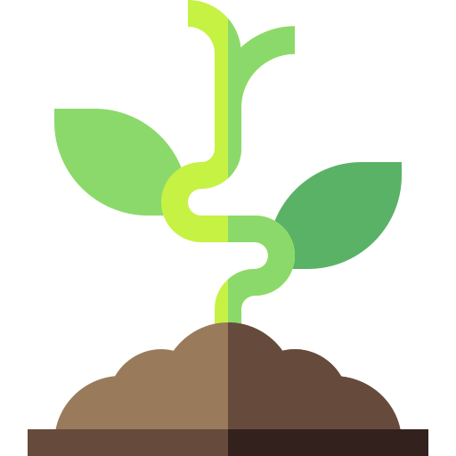 sapling2